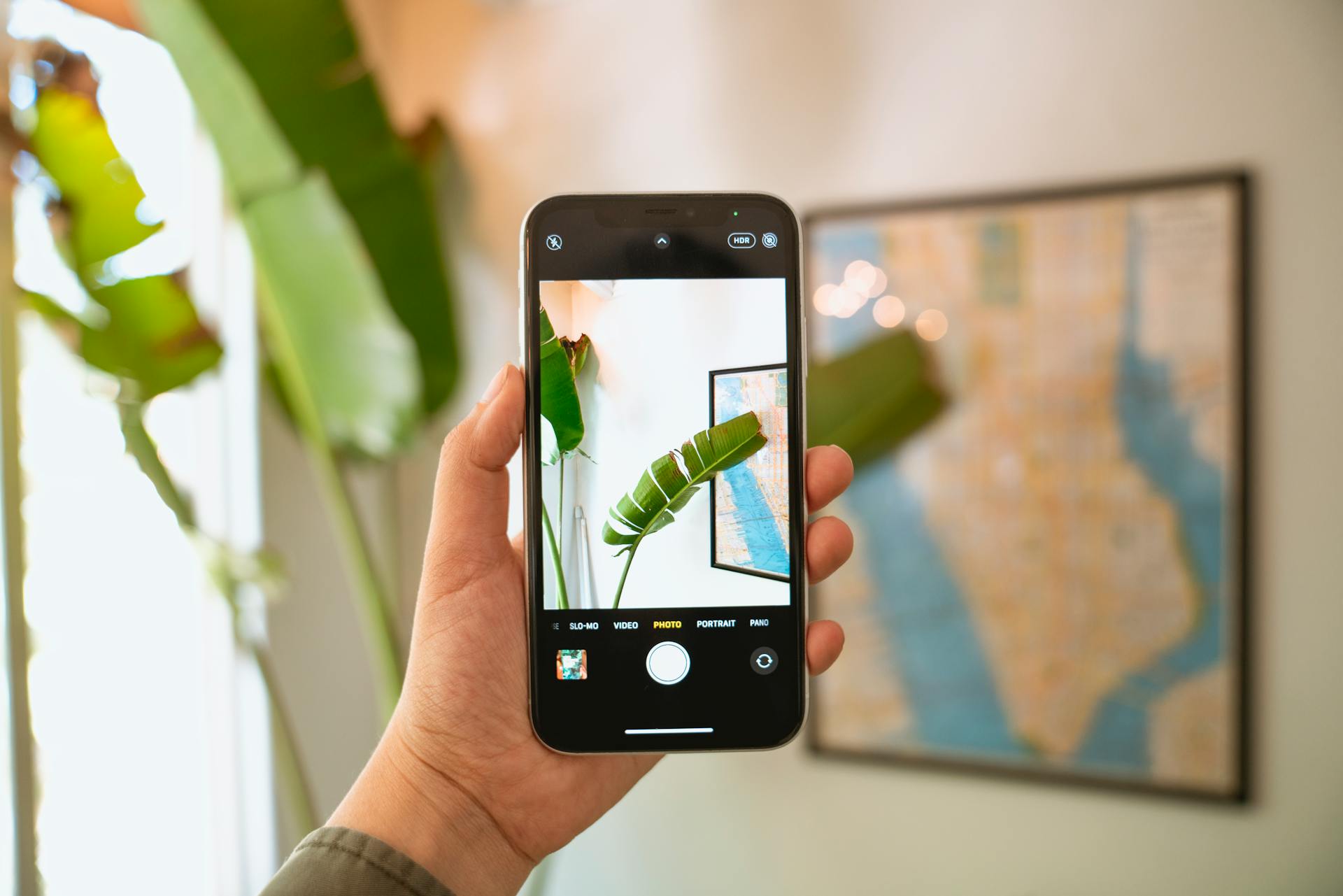 High-Converting Shopify Product Images